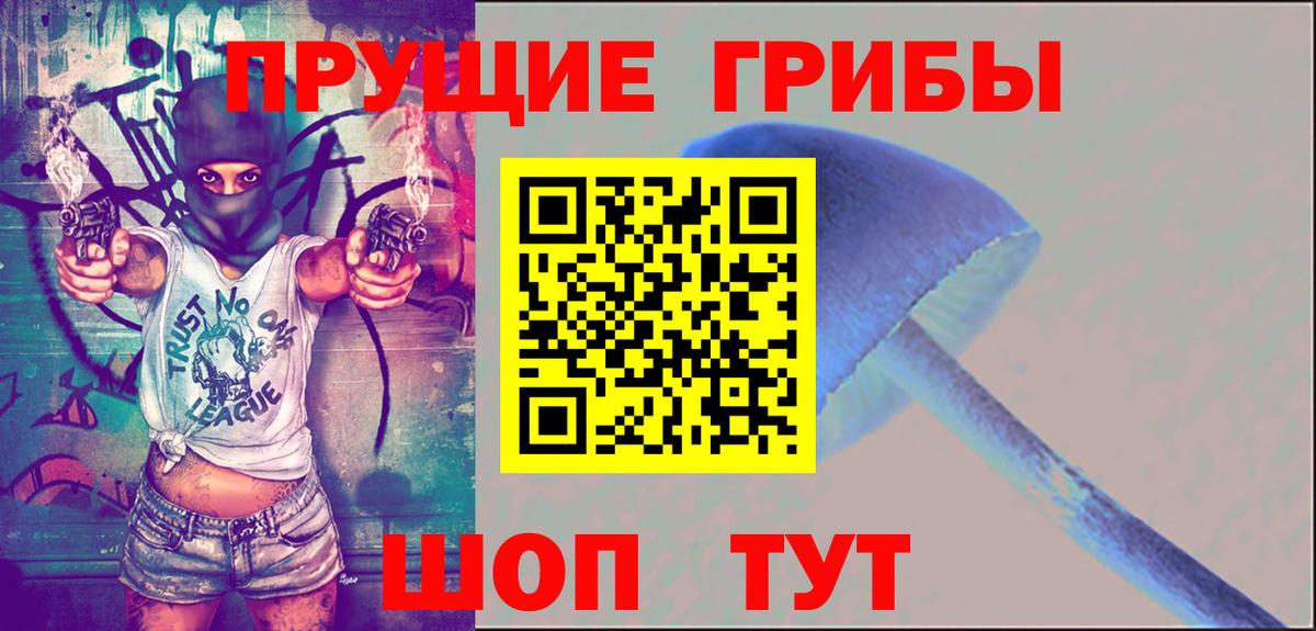 Галлюциногенные грибы прущие грибы Шали