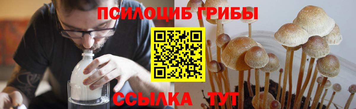 Галлюциногенные грибы GOLDEN TEACHER  Псилоцибиновые грибы Magic Shrooms  Шали  Вход с VPN 